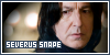 Harry Potter - Severus Snape