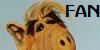 Alf