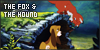 Fox and The Hound