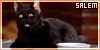 Sabrina: The Teenage Witch - Salem Saberhagen