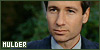 The X-Files - Fox Mulder
