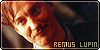 Harry Potter - Remus Lupin