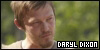 Walking Dead - Daryl Dixon